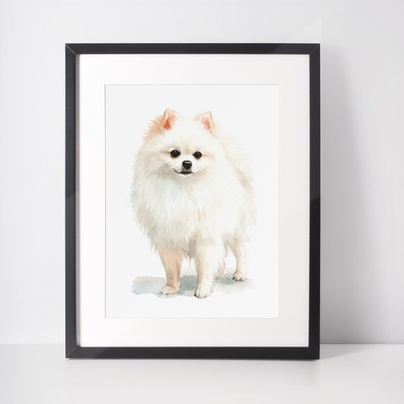 Watercolor Pomeranian Dog Portrait Art Print – Unframed Fine Art Poster - Picture 3 of 5